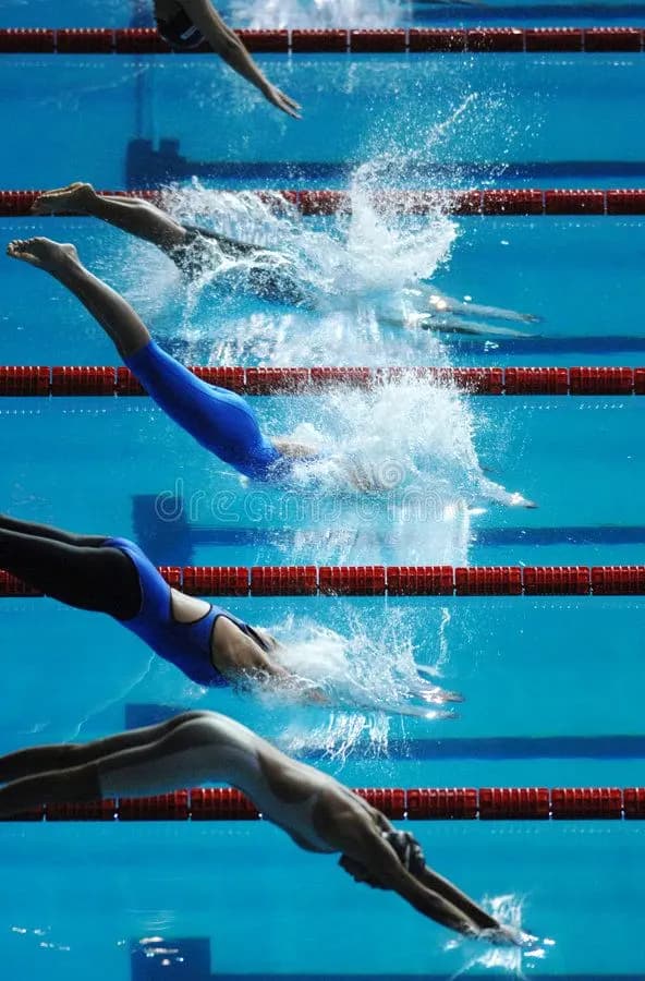 Swimmer training in a lane